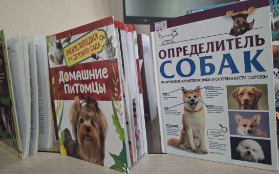 Преданней собаки нету существа